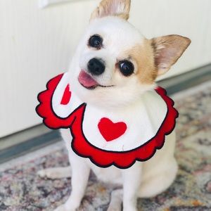 Pet Neck Accessories (Large)